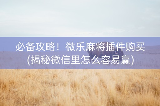 必备攻略！微乐麻将插件购买(揭秘微信里怎么容易赢)