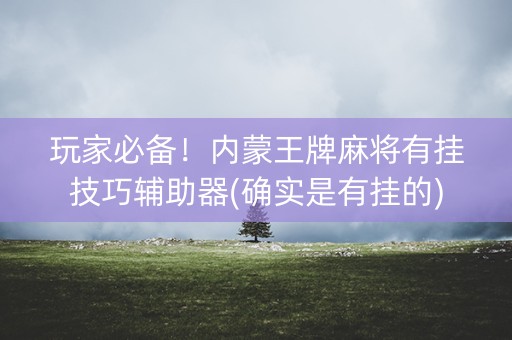 玩家必备！内蒙王牌麻将有挂技巧辅助器(确实是有挂的)