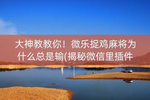 大神教教你！微乐捉鸡麻将为什么总是输(揭秘微信里插件购买)