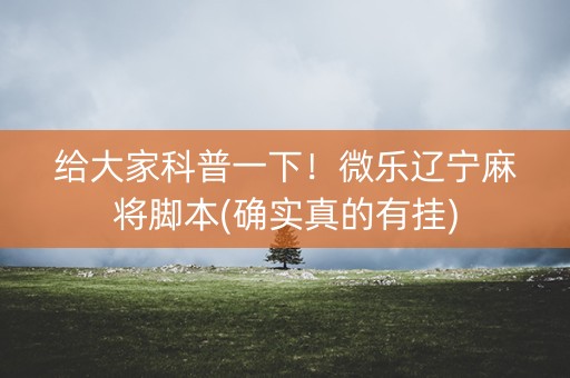 给大家科普一下！微乐辽宁麻将脚本(确实真的有挂)