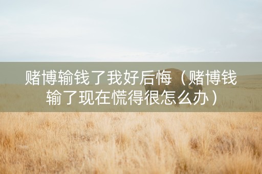 赌博输钱了我好后悔（赌博钱输了现在慌得很怎么办）