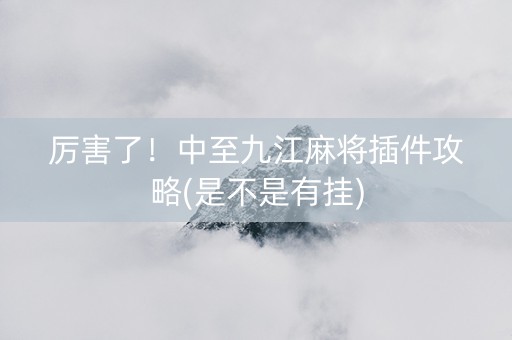 厉害了！中至九江麻将插件攻略(是不是有挂)