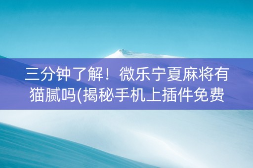 三分钟了解！微乐宁夏麻将有猫腻吗(揭秘手机上插件免费)