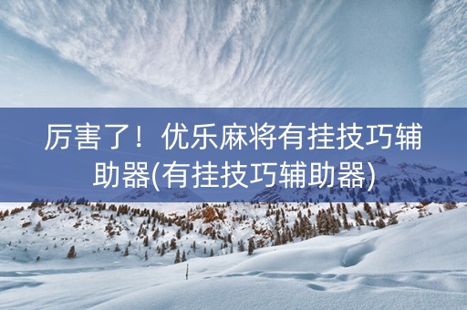 厉害了！优乐麻将有挂技巧辅助器(有挂技巧辅助器)