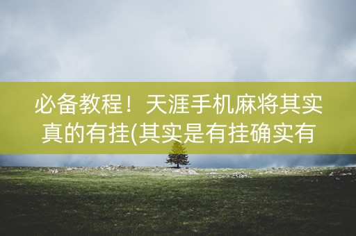 必备教程！天涯手机麻将其实真的有挂(其实是有挂确实有挂)