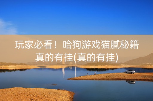 玩家必看！哈狗游戏猫腻秘籍真的有挂(真的有挂)