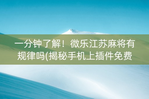 一分钟了解！微乐江苏麻将有规律吗(揭秘手机上插件免费)