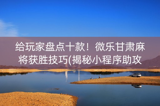 给玩家盘点十款！微乐甘肃麻将获胜技巧(揭秘小程序助攻神器)