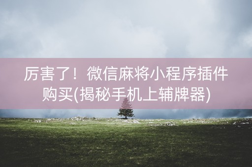 厉害了！微信麻将小程序插件购买(揭秘手机上辅牌器)