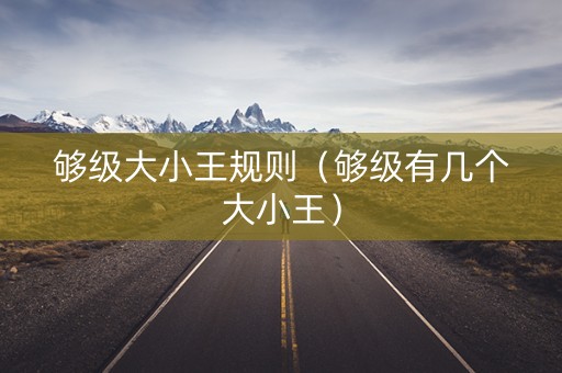 够级大小王规则（够级有几个大小王）