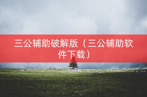 三公辅助破解版（三公辅助软件下载）