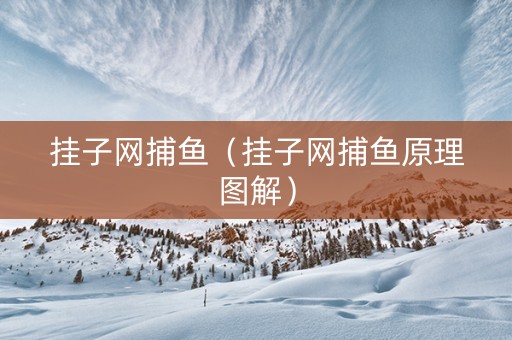 挂子网捕鱼（挂子网捕鱼原理图解）