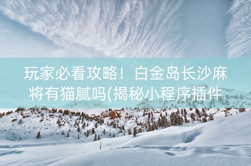 玩家必看攻略！白金岛长沙麻将有猫腻吗(揭秘小程序插件免费)