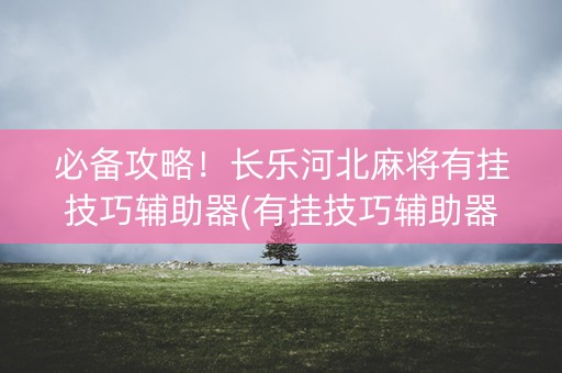 必备攻略！长乐河北麻将有挂技巧辅助器(有挂技巧辅助器)