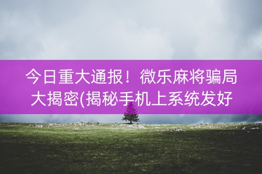 今日重大通报！微乐麻将骗局大揭密(揭秘手机上系统发好牌)