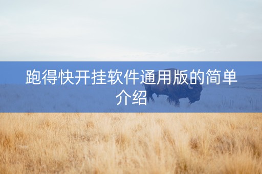 跑得快开挂软件通用版的简单介绍