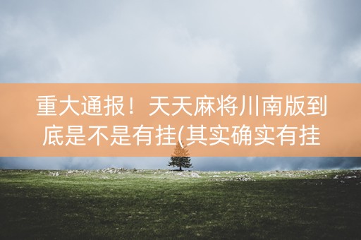 重大通报！天天麻将川南版到底是不是有挂(其实确实有挂)