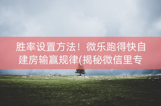 胜率设置方法！微乐跑得快自建房输赢规律(揭秘微信里专用神器)