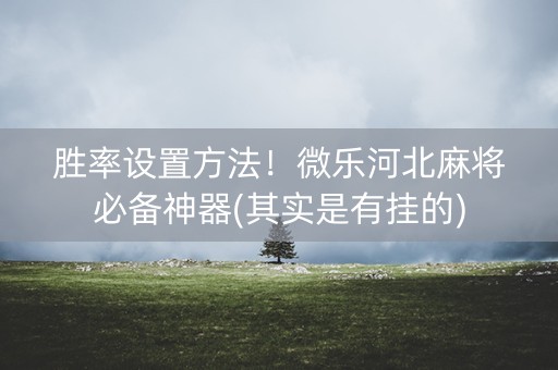 胜率设置方法！微乐河北麻将必备神器(其实是有挂的)