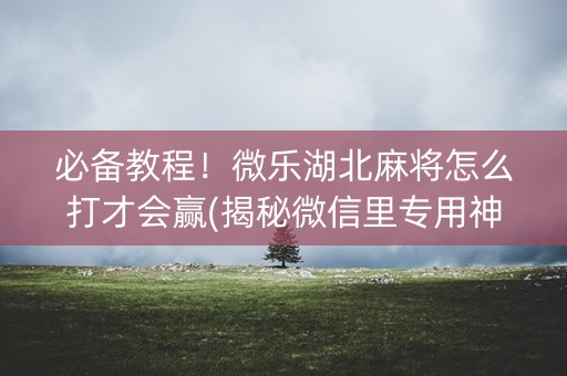必备教程！微乐湖北麻将怎么打才会赢(揭秘微信里专用神器)