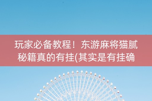玩家必备教程！东游麻将猫腻秘籍真的有挂(其实是有挂确实有挂)