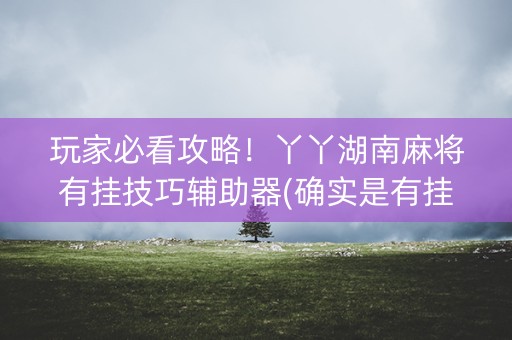 玩家必看攻略！丫丫湖南麻将有挂技巧辅助器(确实是有挂的)