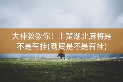 大神教教你！上楚湖北麻将是不是有挂(到底是不是有挂)