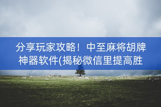 分享玩家攻略！中至麻将胡牌神器软件(揭秘微信里提高胜率)