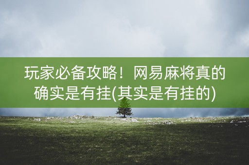 玩家必备攻略！网易麻将真的确实是有挂(其实是有挂的)