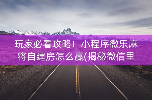 玩家必看攻略！小程序微乐麻将自建房怎么赢(揭秘微信里辅牌器)