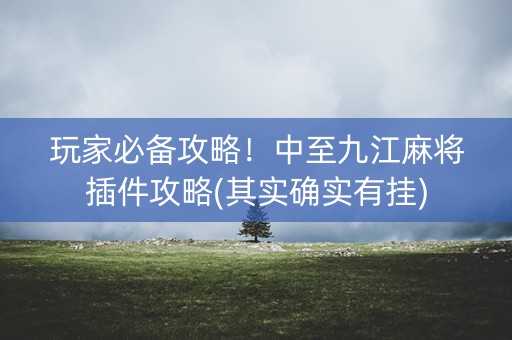 玩家必备攻略！中至九江麻将插件攻略(其实确实有挂)