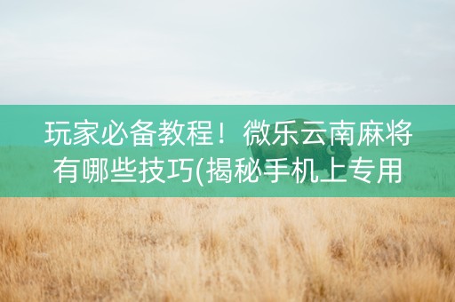 玩家必备教程！微乐云南麻将有哪些技巧(揭秘手机上专用神器)