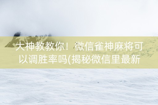 大神教教你！微信雀神麻将可以调胜率吗(揭秘微信里最新神器下载)