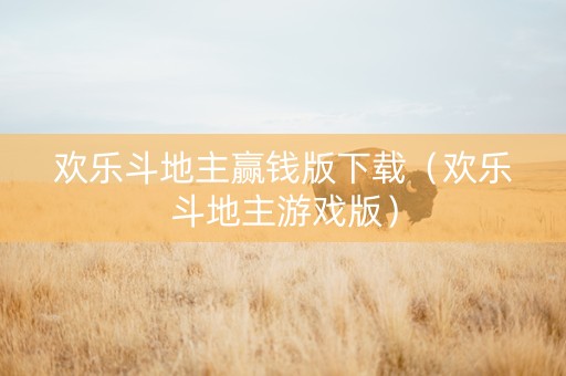 欢乐斗地主赢钱版下载（欢乐斗地主游戏版）