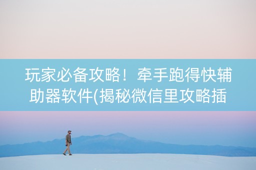 玩家必备攻略！牵手跑得快辅助器软件(揭秘微信里攻略插件)