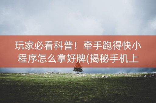 玩家必看科普！牵手跑得快小程序怎么拿好牌(揭秘手机上胡牌神器)