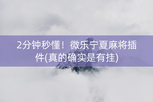 2分钟秒懂！微乐宁夏麻将插件(真的确实是有挂)