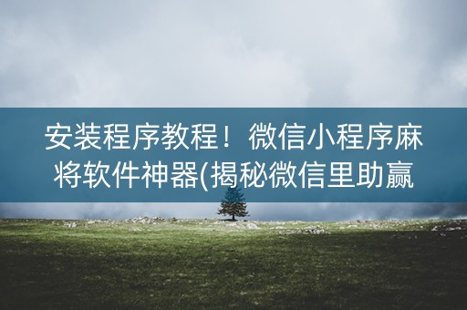 安装程序教程！微信小程序麻将软件神器(揭秘微信里助赢软件)
