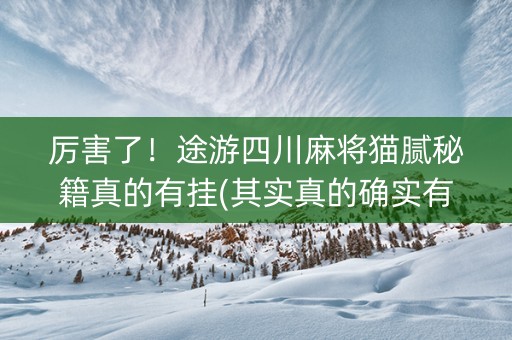 厉害了！途游四川麻将猫腻秘籍真的有挂(其实真的确实有挂)