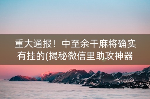 重大通报！中至余干麻将确实有挂的(揭秘微信里助攻神器)