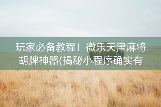 玩家必备教程！微乐天津麻将胡牌神器(揭秘小程序确实有猫腻)