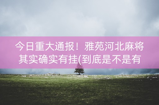 今日重大通报！雅苑河北麻将其实确实有挂(到底是不是有挂)