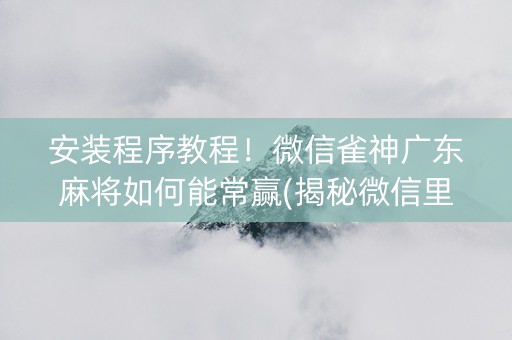 安装程序教程！微信雀神广东麻将如何能常赢(揭秘微信里提高胜率)
