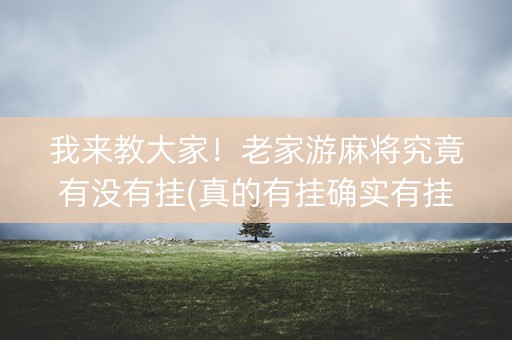 我来教大家！老家游麻将究竟有没有挂(真的有挂确实有挂)