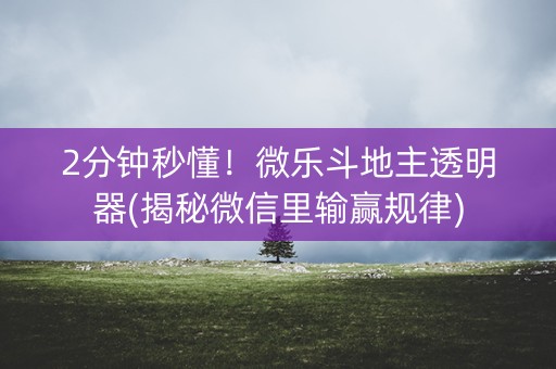 2分钟秒懂！微乐斗地主透明器(揭秘微信里输赢规律)
