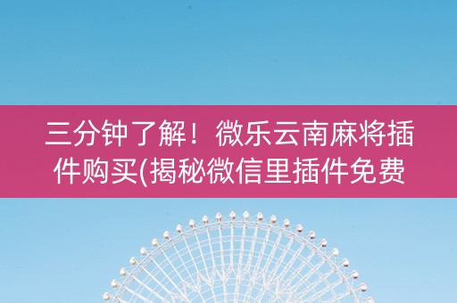 三分钟了解！微乐云南麻将插件购买(揭秘微信里插件免费)