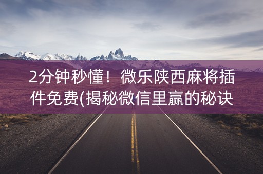 2分钟秒懂！微乐陕西麻将插件免费(揭秘微信里赢的秘诀)