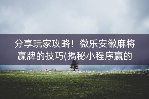 分享玩家攻略！微乐安徽麻将赢牌的技巧(揭秘小程序赢的秘诀)