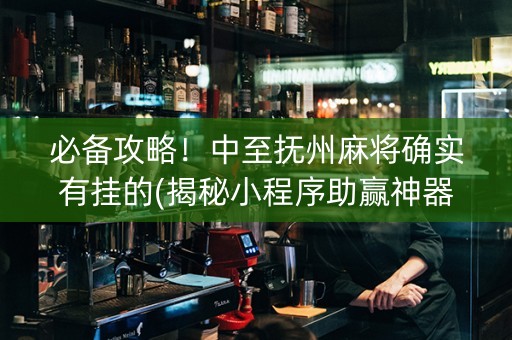 必备攻略！中至抚州麻将确实有挂的(揭秘小程序助赢神器购买)