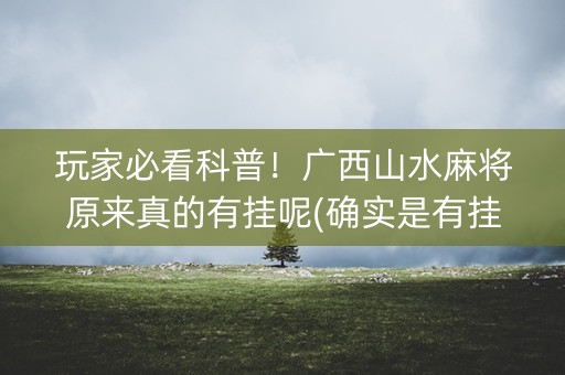 玩家必看科普！广西山水麻将原来真的有挂呢(确实是有挂)